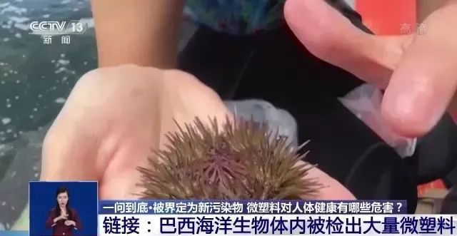 1658108685998392.jpg 37.jpg