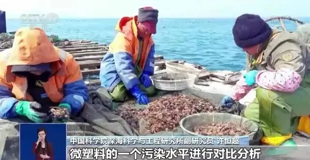 1658108726262510.jpg 29.jpg