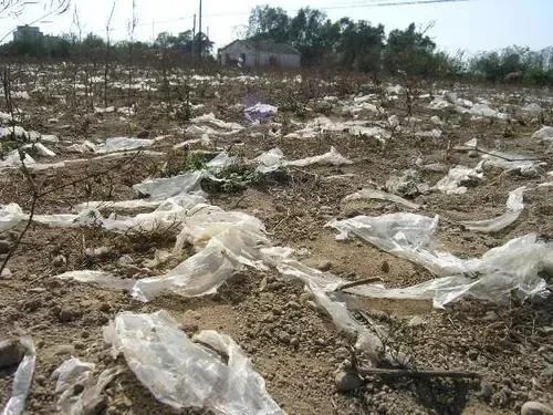 1680577815297245.jpg 07.jpg