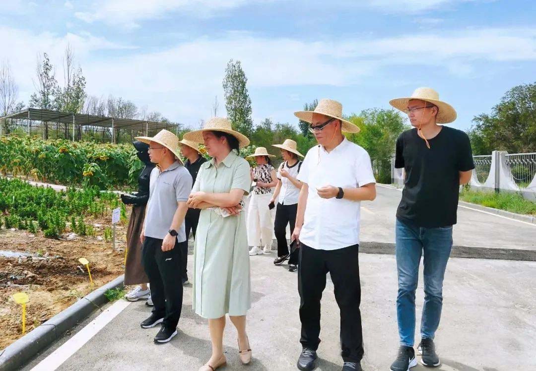 1754448181561411.jpg 03.jpg